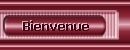Bienvenue